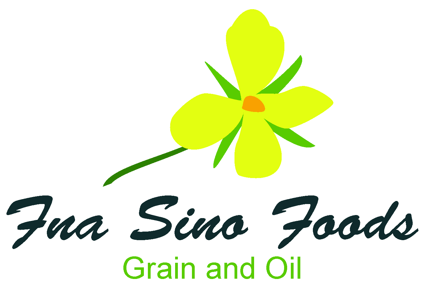 fnasinofoods.com